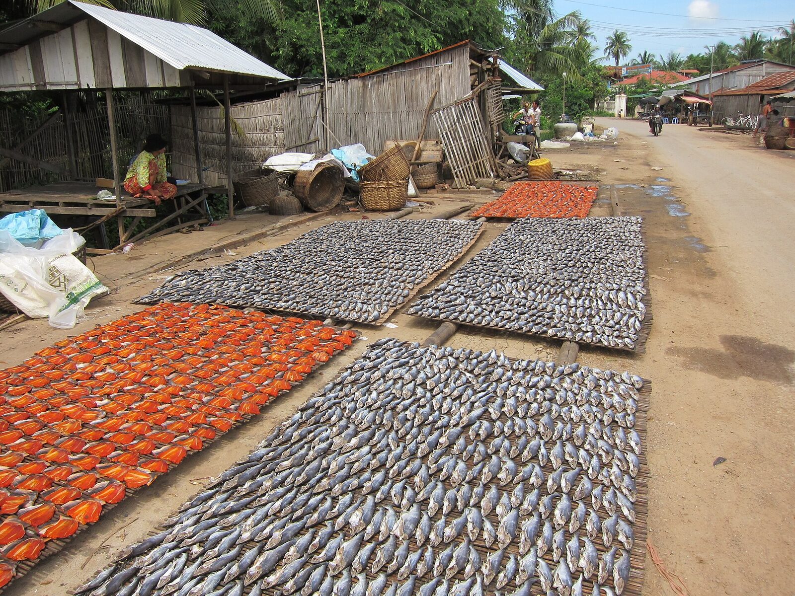 Khô cá miền Tây phơi nắng tự nhiên, thịt vàng ươm chắc thớ — đặc sản quê Thảo